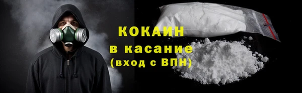 дживик Солнечногорск